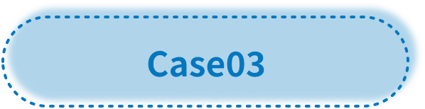 case3