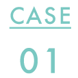 case 01