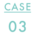 case 03